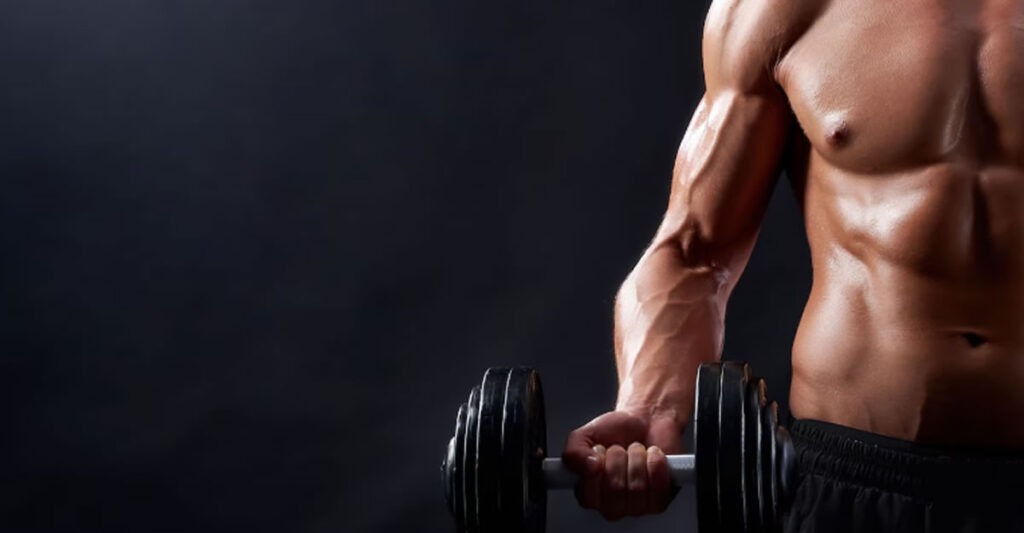 O que Acelera o Ganho de Massa Muscular? O Guia Definitivo 1 Acelera o Ganho de Massa Muscular