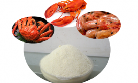 Quitosana, o que é e como tomar