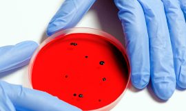 O congelamento mata bactérias?