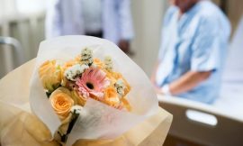 Cultivando Esperança: O Impacto Positivo das Flores na Recuperação de Pacientes em Ambientes de Cuidados de Saúde