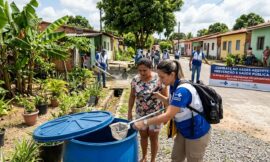 Combate ao Aedes aegypti: prevenção, saúde pública e a importância do controle do mosquito da dengue